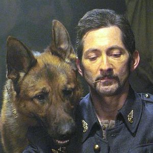 Foto Las nuevas aventuras de Rin-Tin-Tin