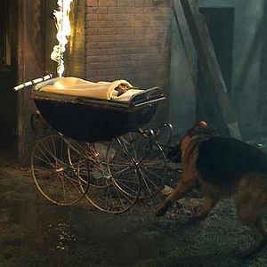 Foto Las nuevas aventuras de Rin-Tin-Tin