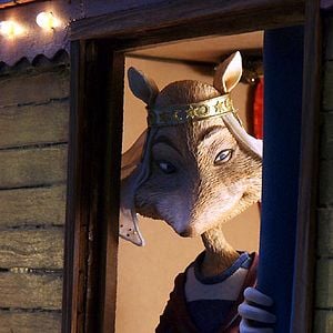 Foto Samuel Guillaume