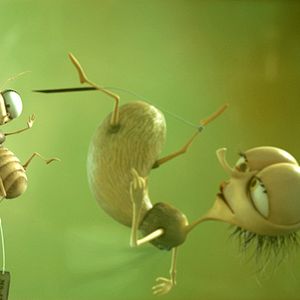 Foto Samuel Guillaume