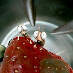 Foto Samuel Guillaume