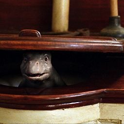 Foto Mi monstruo y yo