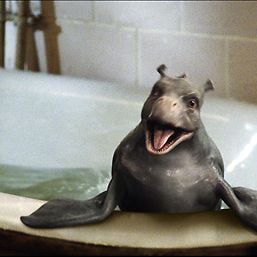 Foto Mi monstruo y yo