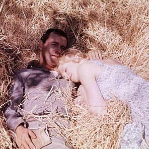 Foto Días de vino y rosas