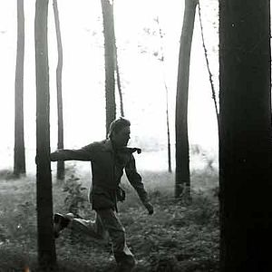 Foto La estrategia de la araña