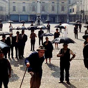 Foto La estrategia de la araña