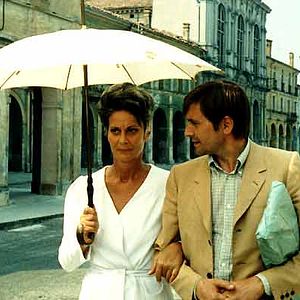 Foto La estrategia de la araña