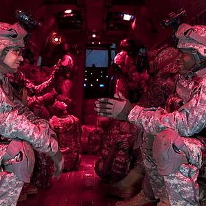 Foto Leones por corderos