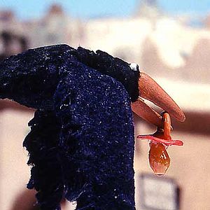 Foto Abdollah Alimorad