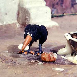 Foto Abdollah Alimorad