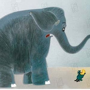 Foto Morteza Ahadi Sarkani