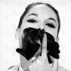 Foto El nuevo caso del inspector Clouseau