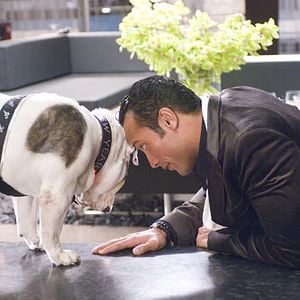 Foto Papá por sorpresa