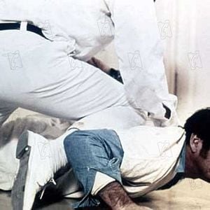 Foto Alguien voló sobre el nido del cuco