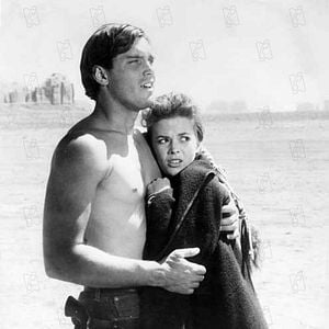 Foto Centauros del desierto