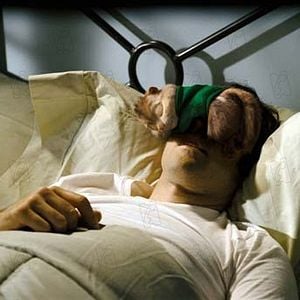 Foto Alvin y las ardillas