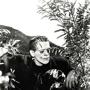 Foto El Doctor Frankenstein