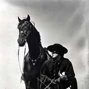 Foto El signo del Zorro