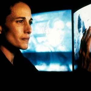 Foto Las flores de Harrison