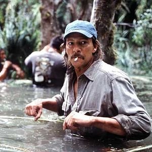 Foto Adaptation (El ladrón de orquídeas)