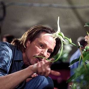 Foto Adaptation (El ladrón de orquídeas)