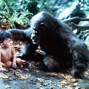 Foto Greystoke, la leyenda de Tarzán, el rey de los monos