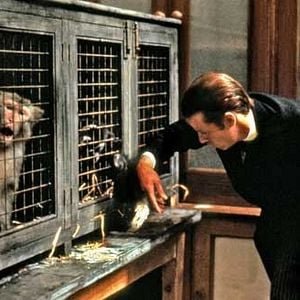 Foto Greystoke, la leyenda de Tarzán, el rey de los monos