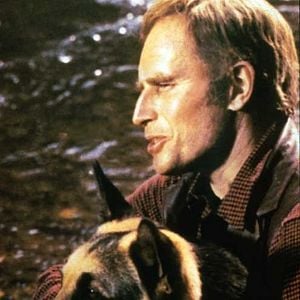 Foto La selva blanca