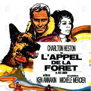 Foto La selva blanca