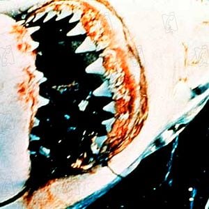 Foto Steven Spielberg