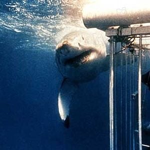 Foto Steven Spielberg