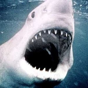 Foto Steven Spielberg