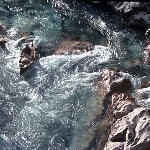 Foto El último cazador