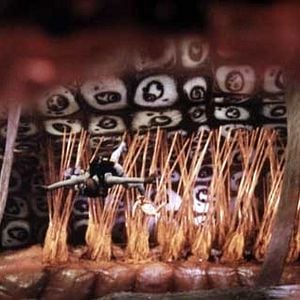 Foto Viaje alucinante