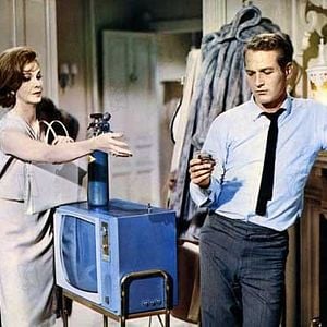 Foto Dulce pájaro de juventud