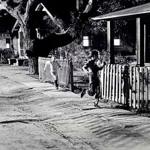 Foto Matar a un ruiseñor