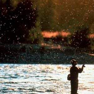 Foto El río de la vida