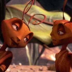 Foto Antz (Hormigaz)