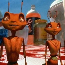 Foto Antz (Hormigaz)