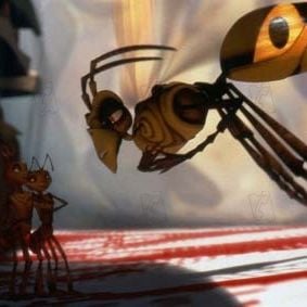 Foto Antz (Hormigaz)