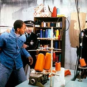 Foto Merci mon chien