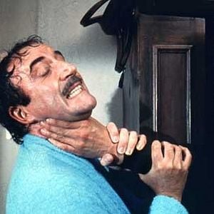 Foto El regreso de la Pantera Rosa