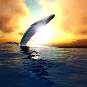 Foto Movida bajo el mar