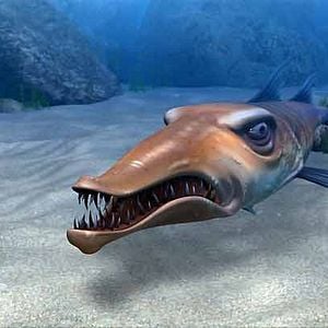 Foto Movida bajo el mar