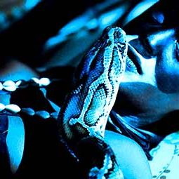 Foto Carole Karemera