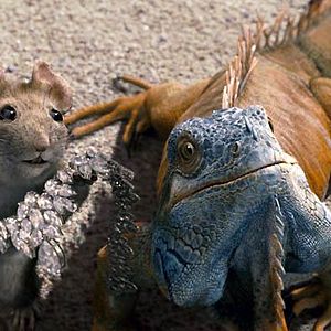 Foto Un chihuahua en Beverly Hills