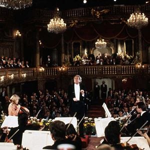 Foto 007: Alta tensión