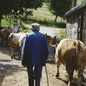 Foto Raymond Depardon