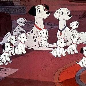 Foto 101 dálmatas