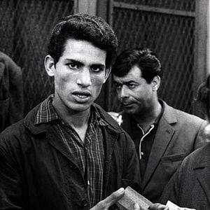 Foto Gillo Pontecorvo